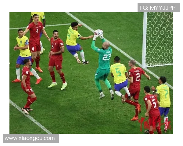 世界塞尔维亚对阵巴西精彩瞬间回顾全场集锦视频分享