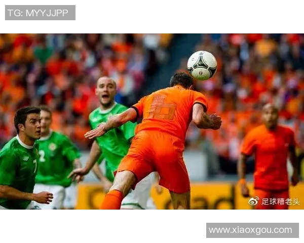 北爱尔兰与荷兰足球对决精彩回顾与赛后分析