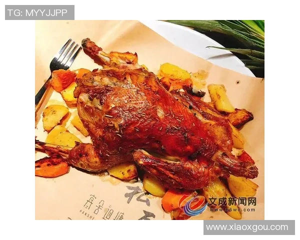 岳鬯苟与汉堡的奇妙对决探索美食与文化的碰撞与交融 岳鬯苟与汉堡的奇妙对决探索美食与文化的碰撞与交融