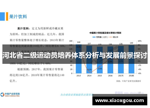 河北省二级运动员培养体系分析与发展前景探讨