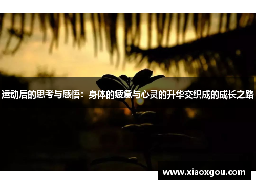 运动后的思考与感悟：身体的疲惫与心灵的升华交织成的成长之路