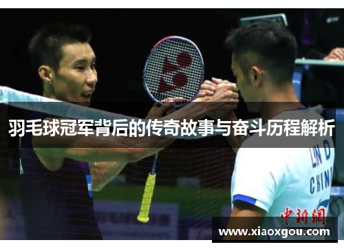 羽毛球冠军背后的传奇故事与奋斗历程解析