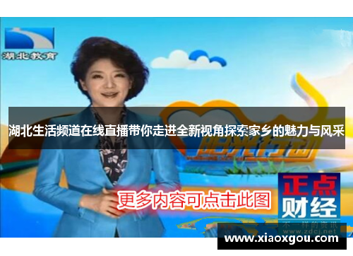 湖北生活频道在线直播带你走进全新视角探索家乡的魅力与风采