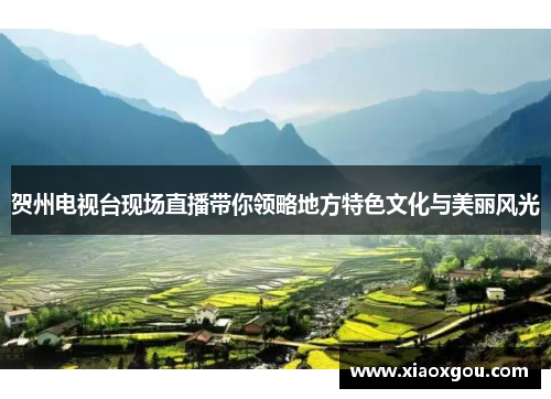 贺州电视台现场直播带你领略地方特色文化与美丽风光