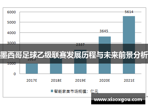 墨西哥足球乙级联赛发展历程与未来前景分析