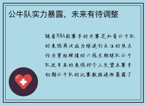 公牛队实力暴露，未来有待调整