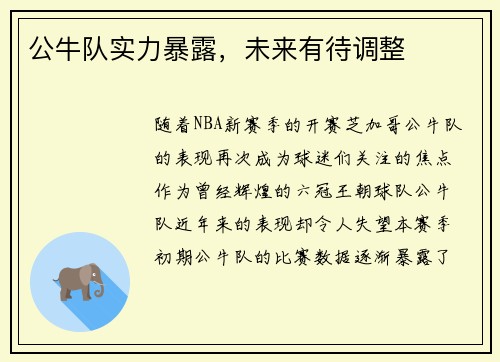 公牛队实力暴露，未来有待调整